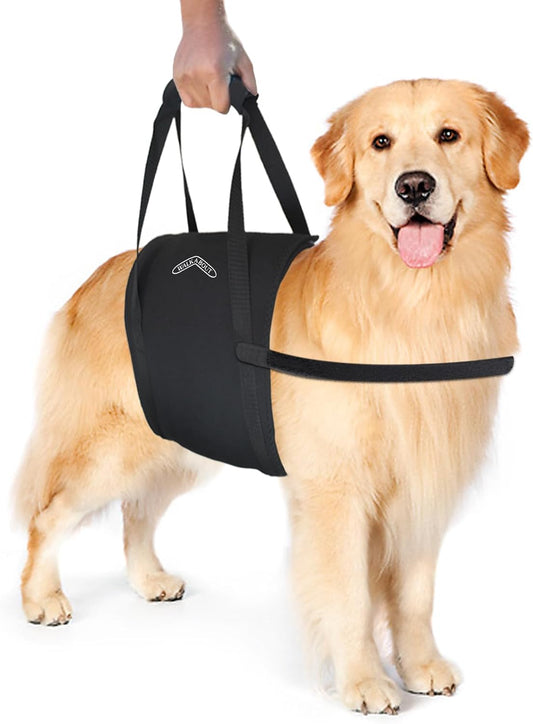 Walkabelly Support Sling, Easy-To-Use Belly Harness for Daily Mobility, Stop Straining to Lift Your Pet, Quick-Lift Original Design by Walkabout Harnesses (Small Walkabelly)