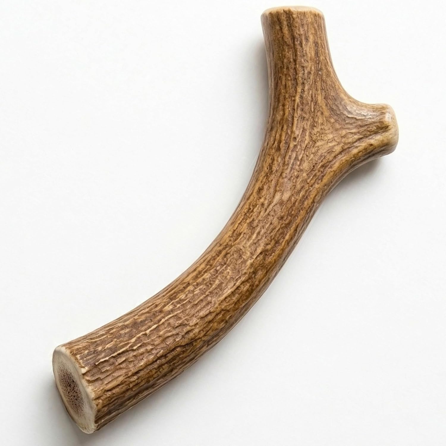 Whitetail Naturals Whole Deer Antler Dog Chews for Small & Medium Dogs – Natural Shed Antler Chew, Long Lasting Bone for Puppies and Smaller Breeds - Made in the USA