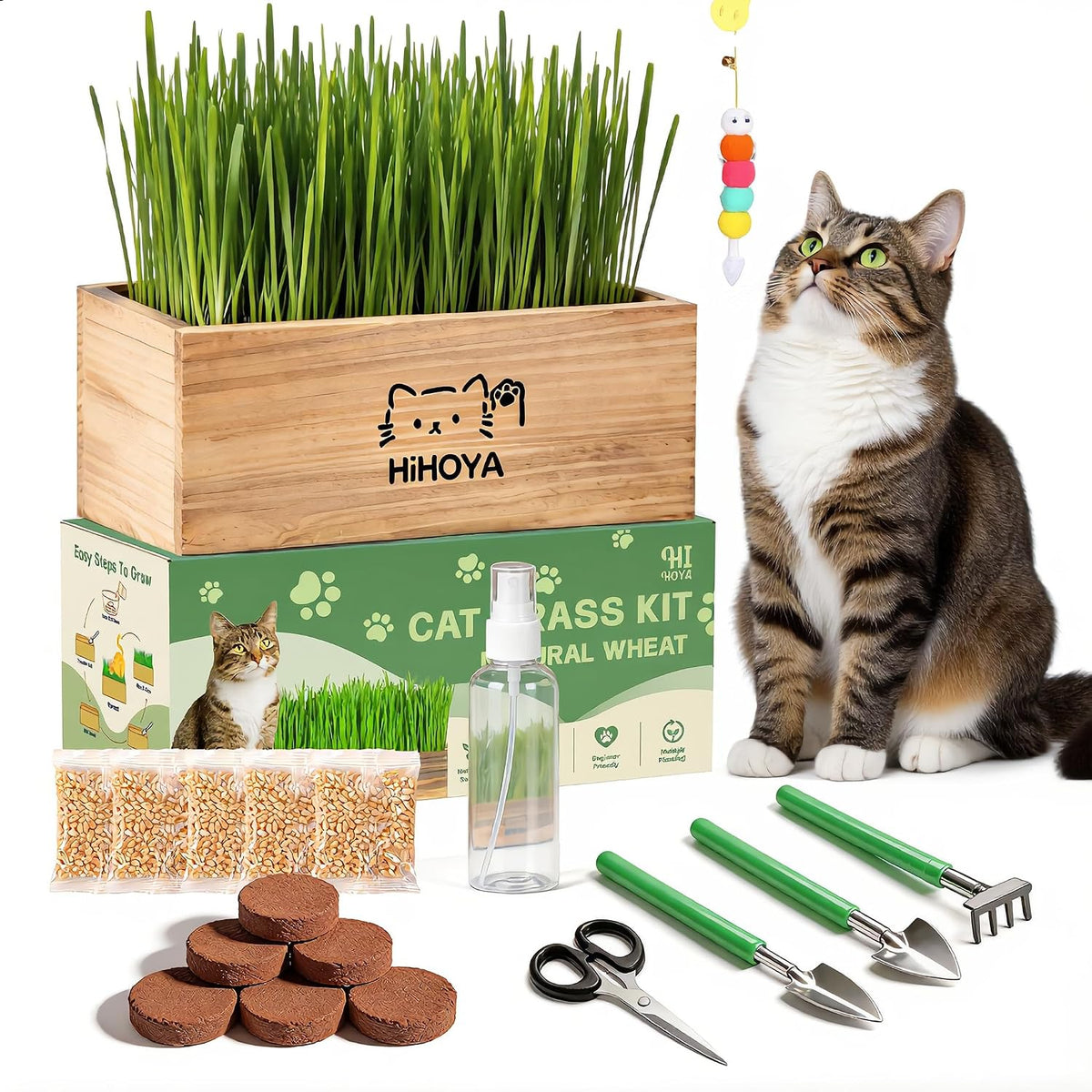 Cat Grass Kit for Indoor Cats - 5 Packets of Seeds, Cat Grass Planter Wooden Growing Kit, 5-Time Plant Starter Pack with 6 Soil Discs, Trimming Scissors, Spray Bottle, and Mini Tools