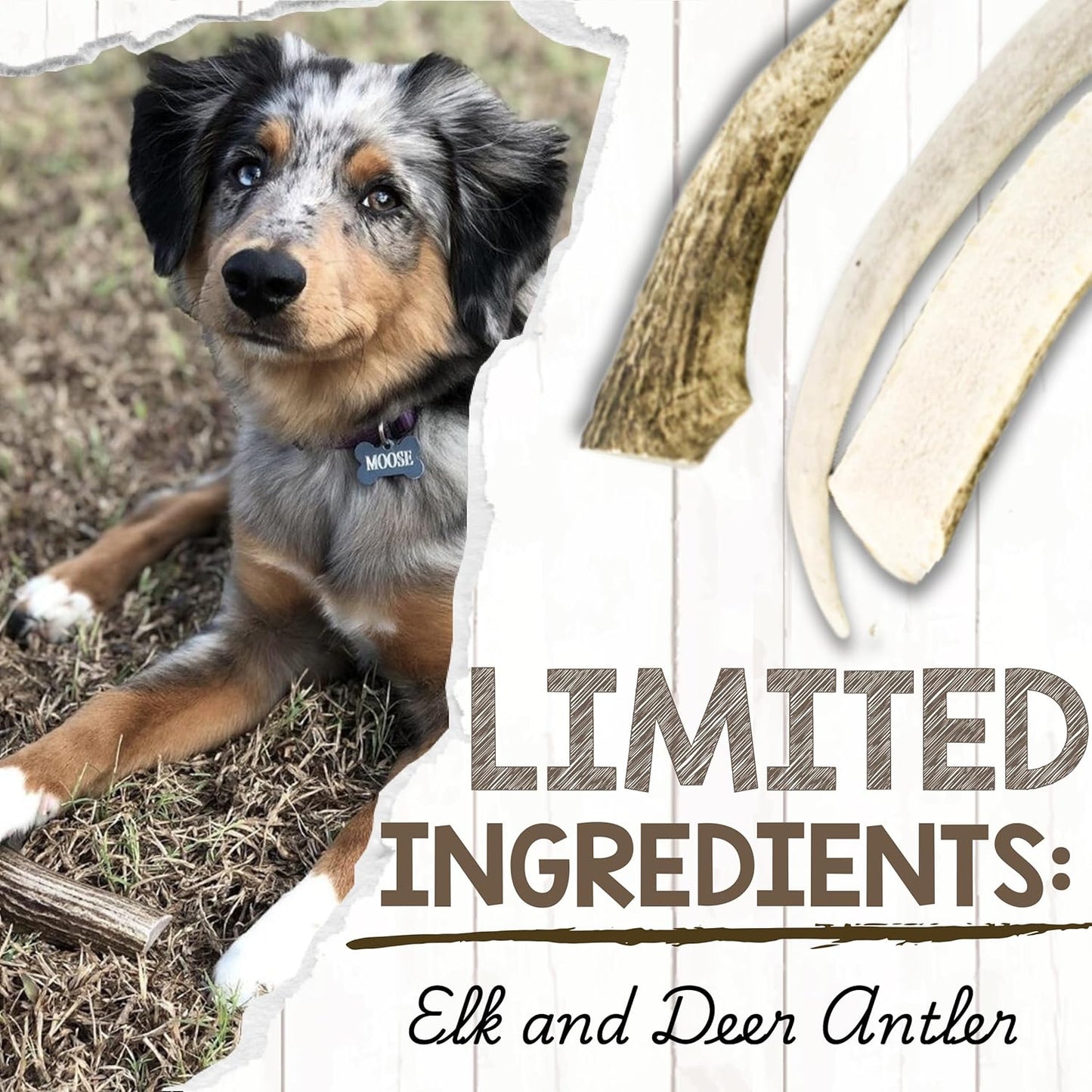 Nature Gnaws Antlers for Dogs (8Oz) - Mix of Elk and Deer Antler - Variety of Split and Whole Pieces - Long Lasting for Aggressive Chewers and Large Dogs