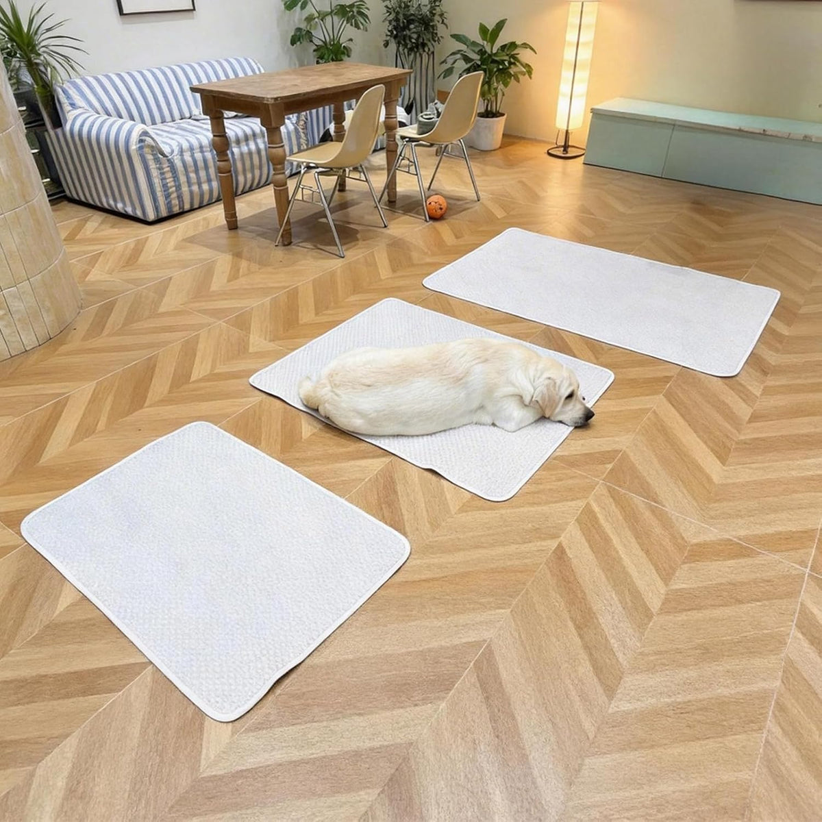 Cooling Mat for Large Dog 46"X36", Washable Waterproof Non-Slip Pad