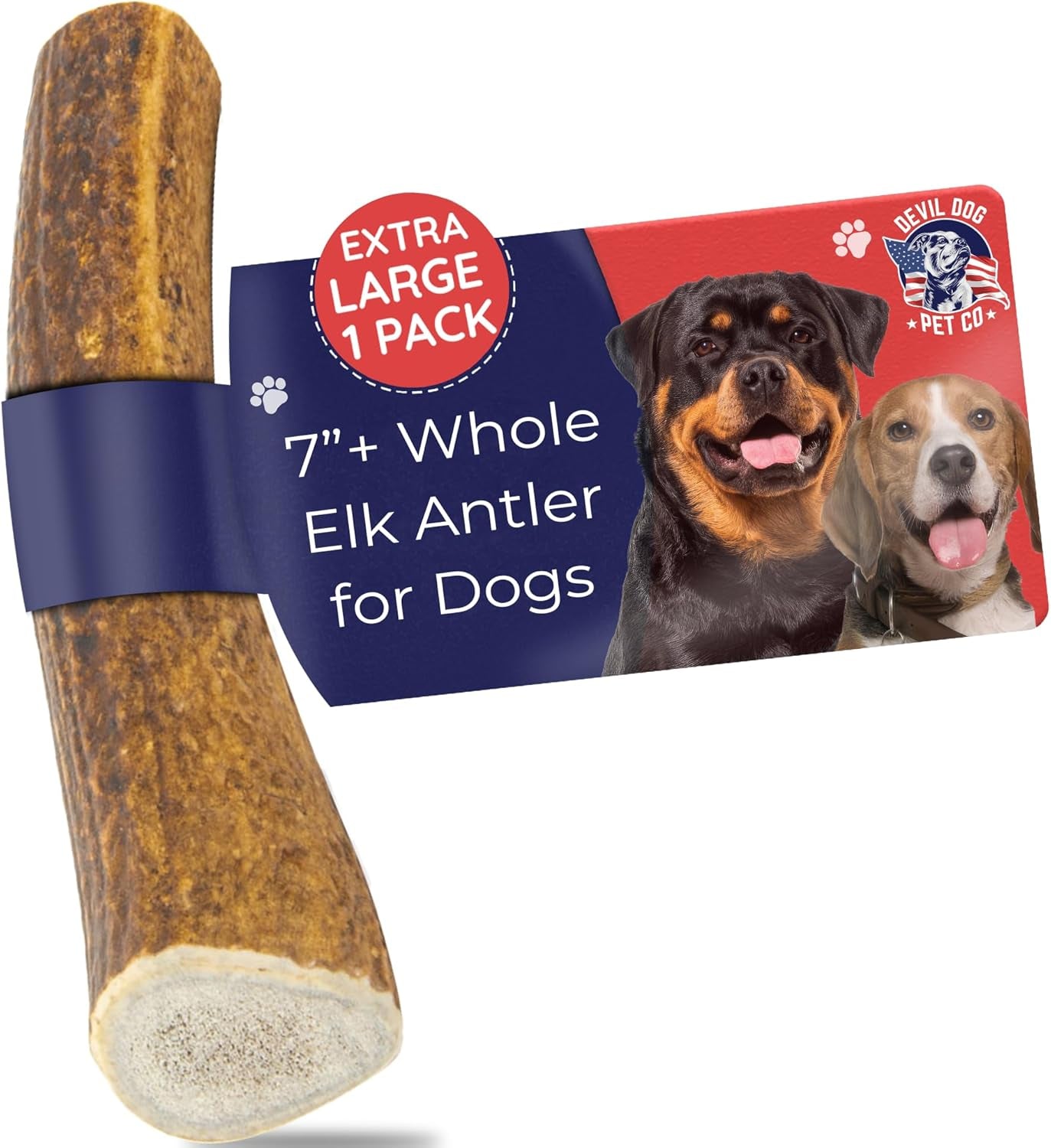 Devil Dog Pet Co. Elk Antlers for Dogs, Natural Dog Chew for Aggressive Chewers - Long Lasting and Odor Free - USA Sourced - Cleaner Teeth, Anxiety & Boredom Relief - Whole XL 7"+ - Antler Bone