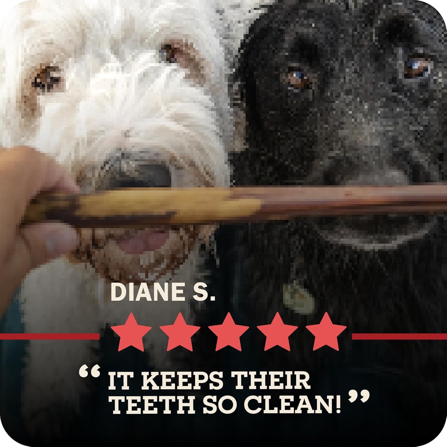 Redbarn Pet Products All Natural 5"-8" Bully Sticks for Small & Large Dogs - Healthy Long Lasting Chews Variety Party Pack - 100% Beef Single Ingredient Low Odor Rawhide Free Dental Treats - 8 Oz Bag