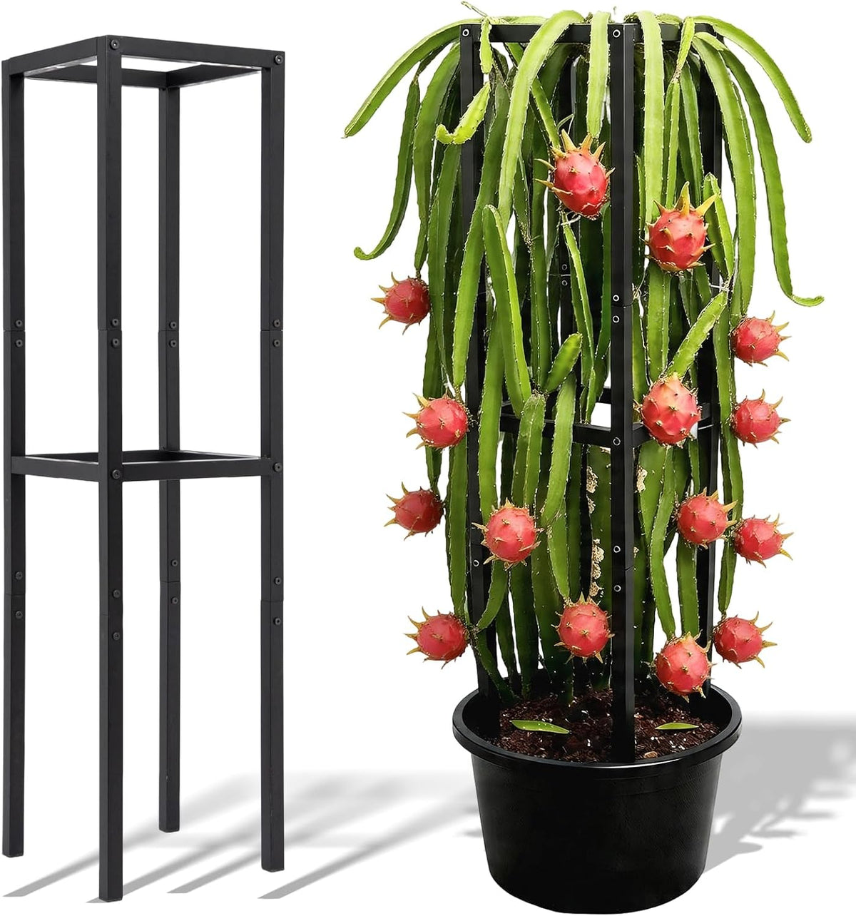 48" Dragon Fruit Trellis Durable Metal Support for Climbing Plants