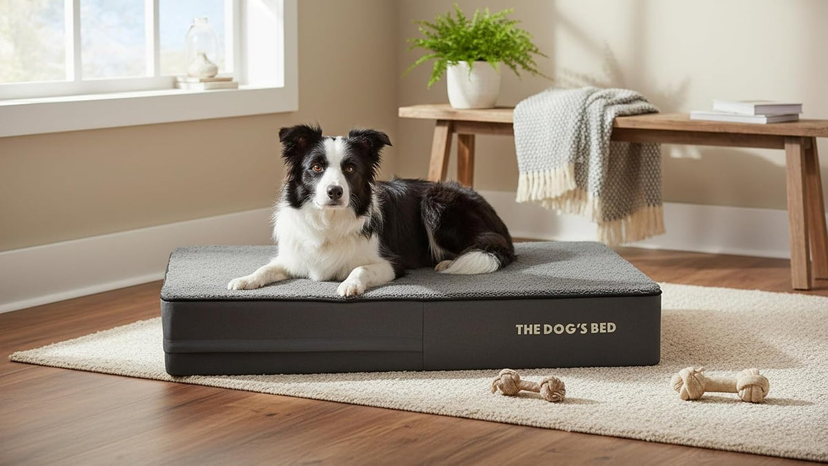The Dog’S Bed Orthopedic Memory Foam Dog Bed, Waterproof Large 6 Inch Thick