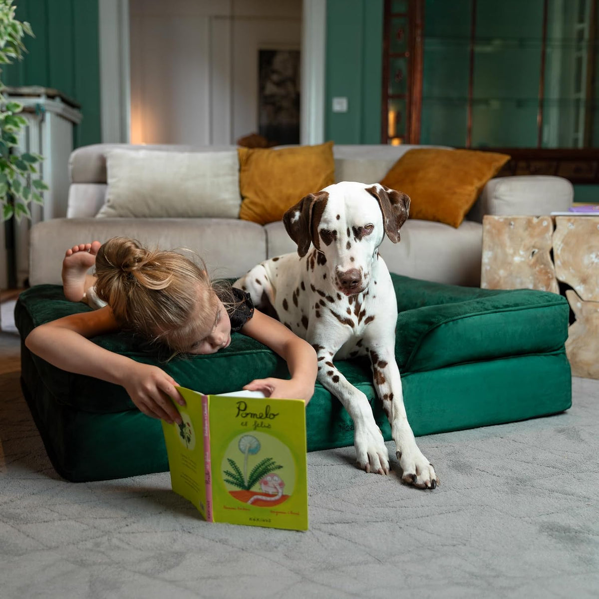 NOAH & PAW XL Dog Bed, 45X35X11 Inch, Orthopedic Large Dog Beds, Eggshell Memory Foam Infused with Cooling Gel, Inner Cover, Water Resistant, Machine Washable