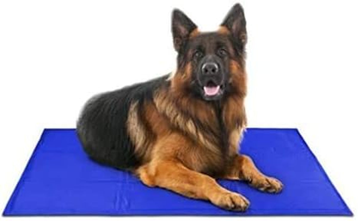 Arf Pets Dog Cooling Mat - Solid Gel Self-Cool Pad | Durable & Non-Toxic