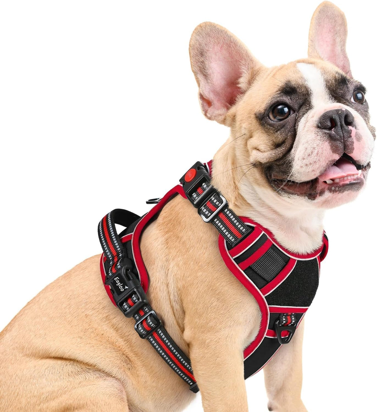 Eagloo Dog Harness No Pull for Medium Dogs, Easy on & off with 3 Buckles