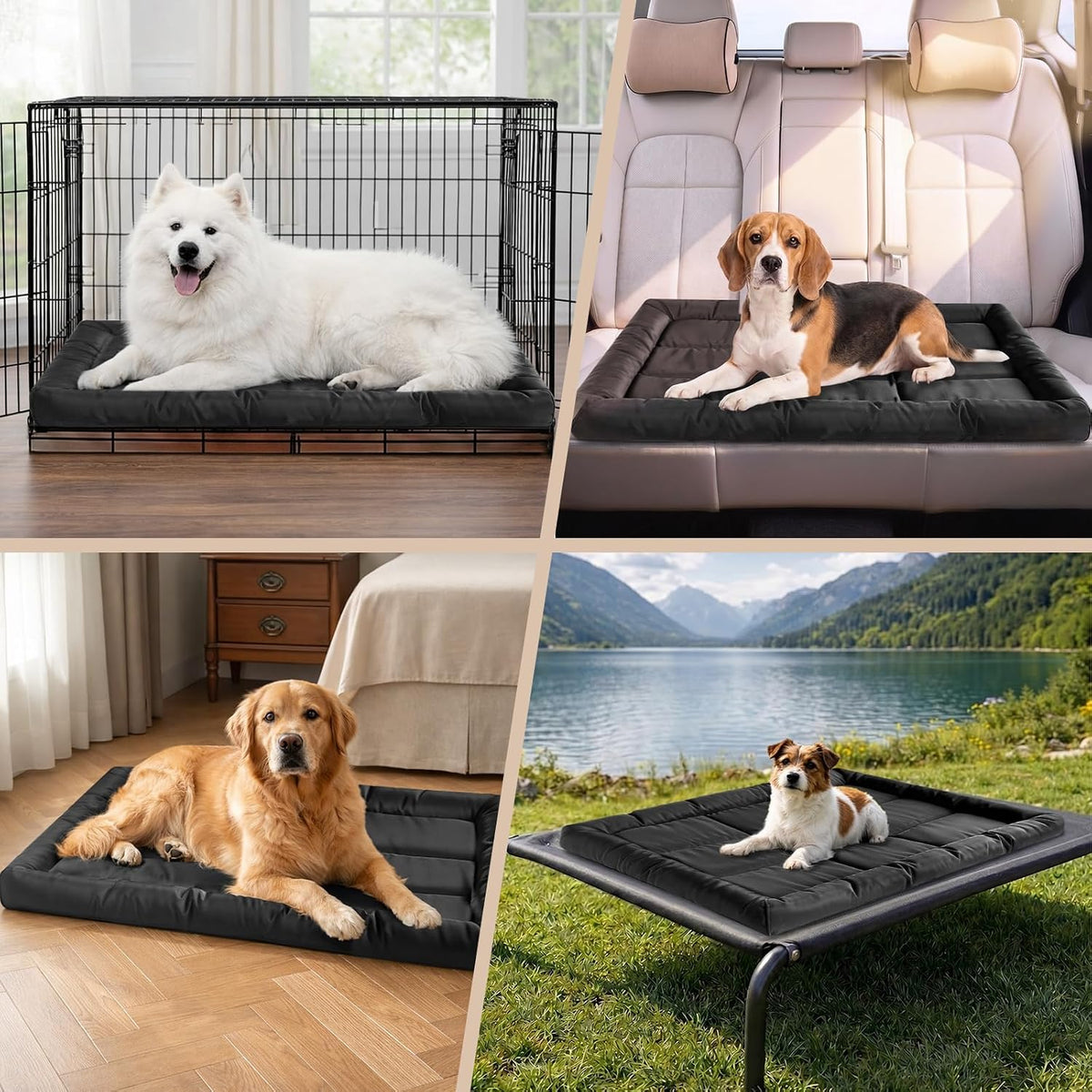 Chew Resistant Dog Bed, Indestructible Orthopedic Dog Bed, Medium (22"X35")