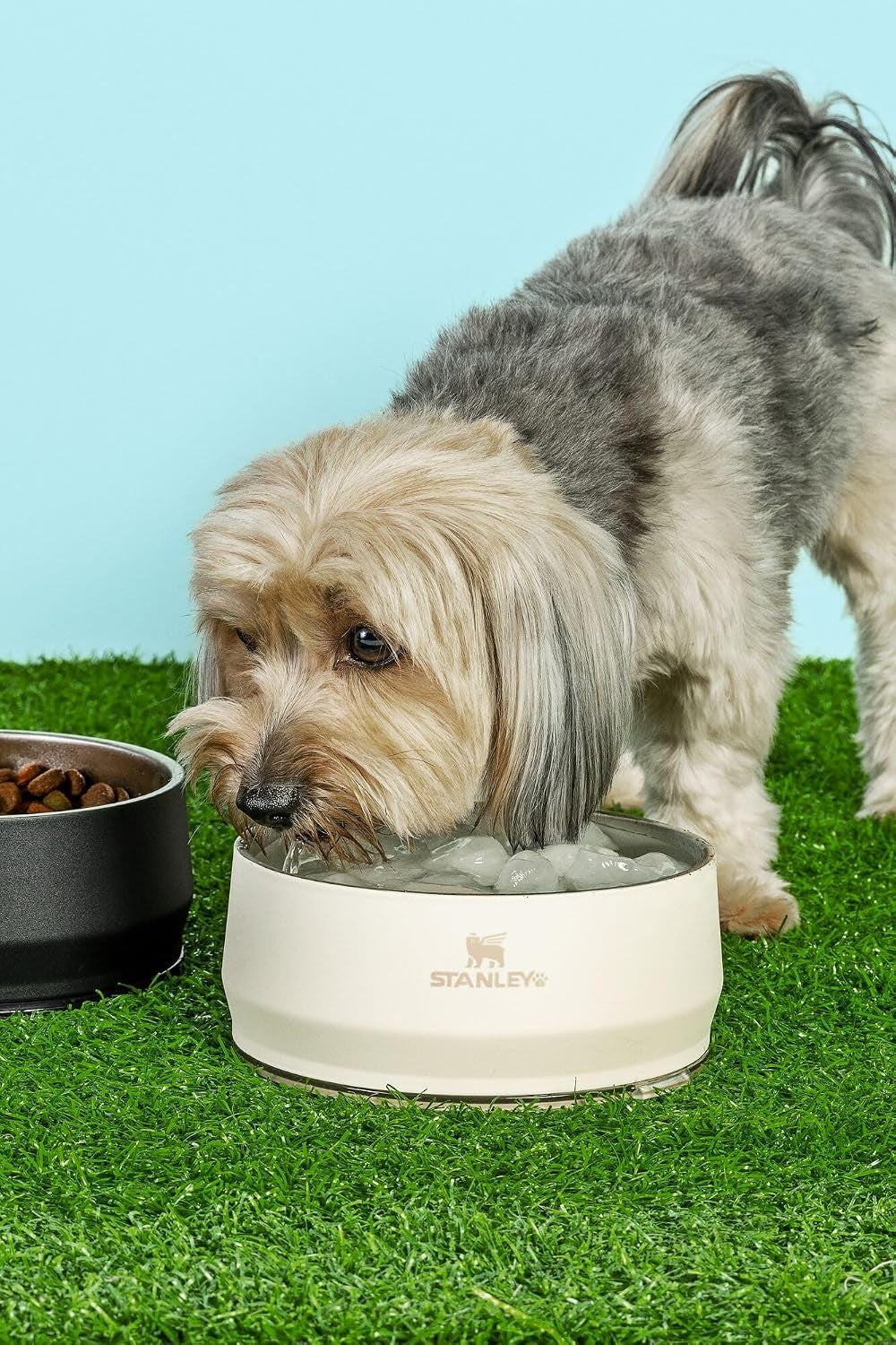 STANLEY Pet Bowl with Lid, 24 Oz (3 Cups), Cream