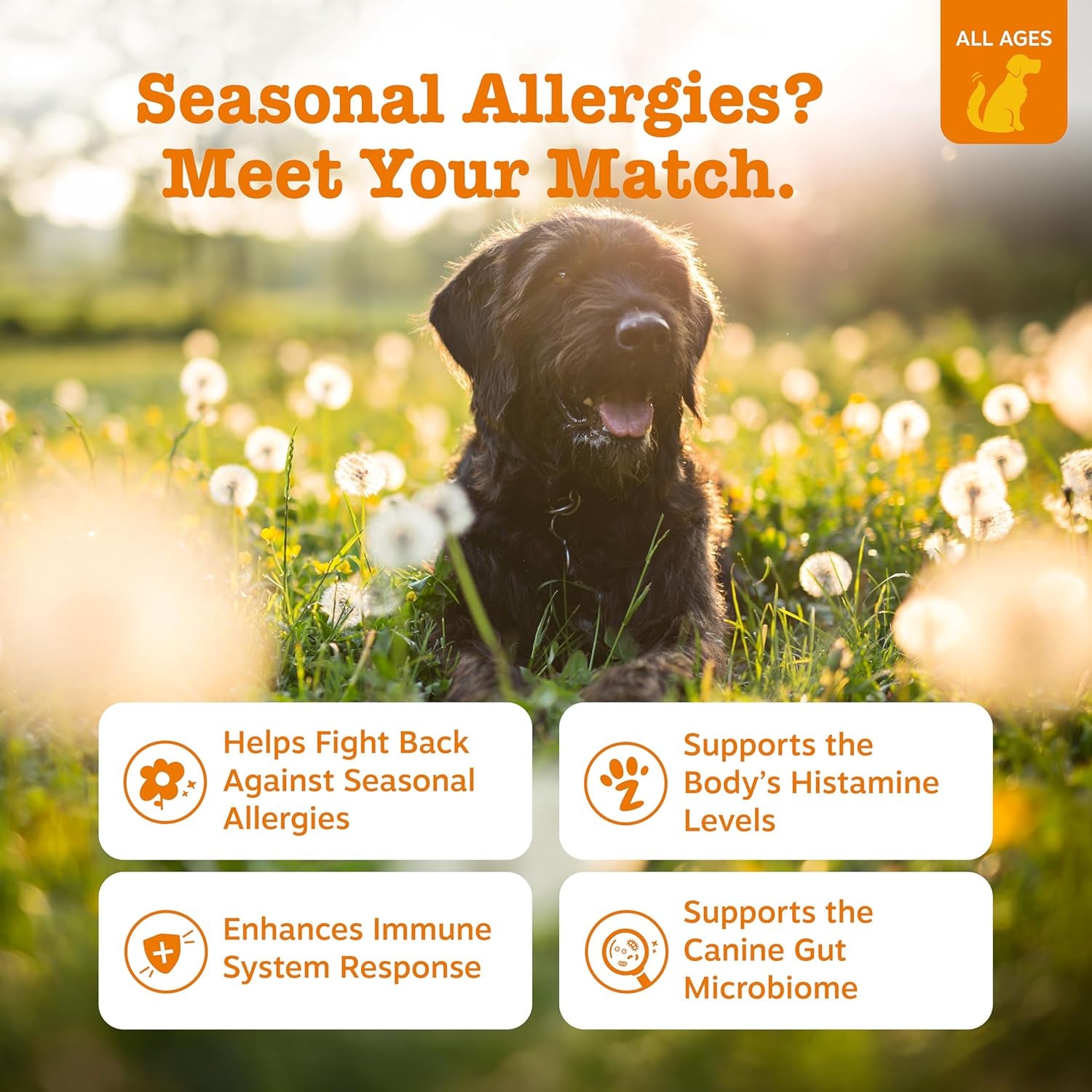 Zesty Paws Allergy Immune Bites - Dog Allergy Chews, Dog Probiotics for Itchy Skin and Ears, Peanut Butter, 90Ct