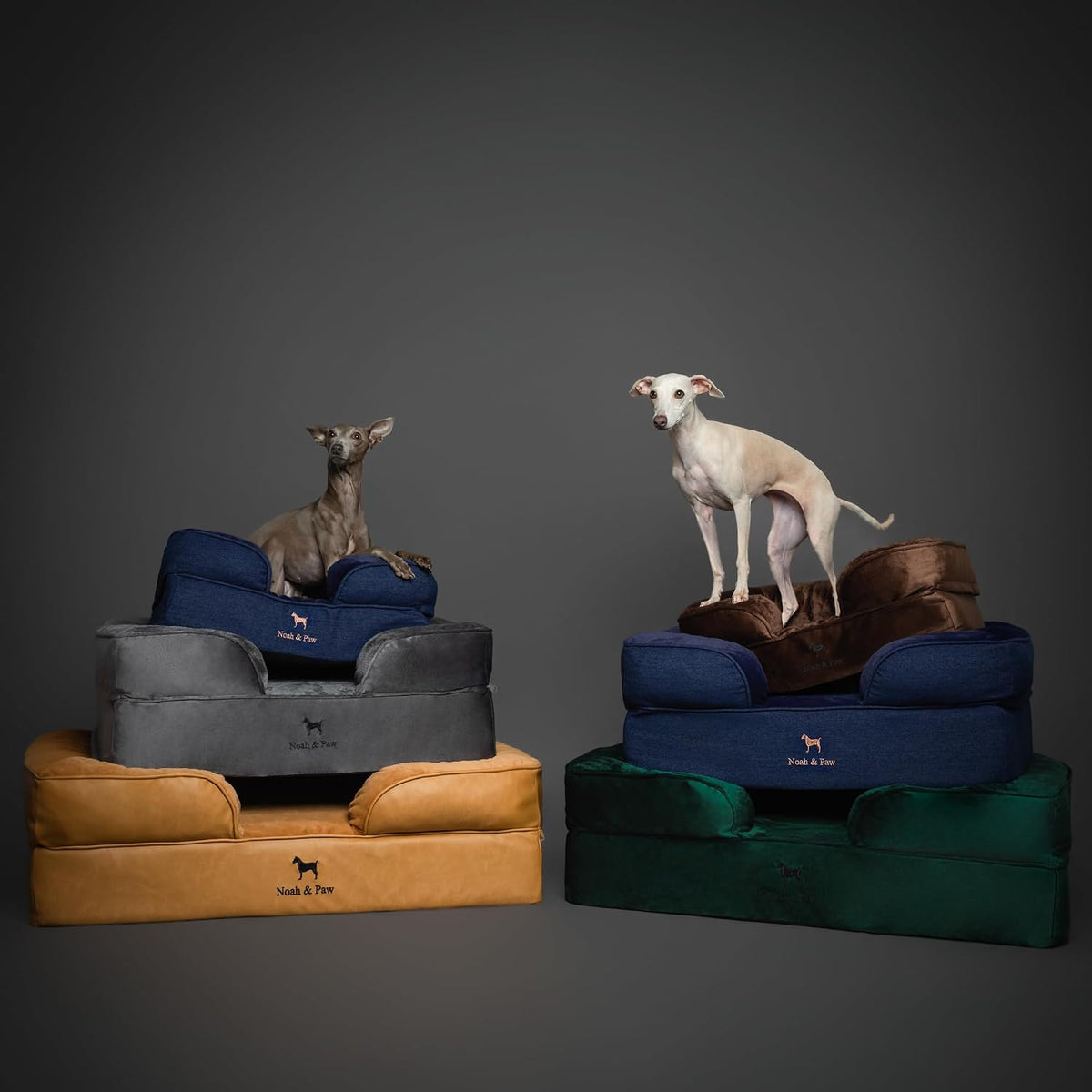 NOAH & PAW Giant Dog Bed XXL, 55X45X11 Inch, Orthopedic Dog Beds, Eggshell Memory Foam Infused with Cooling Gel, Inner Cover, Water Resistant, Machine Washable