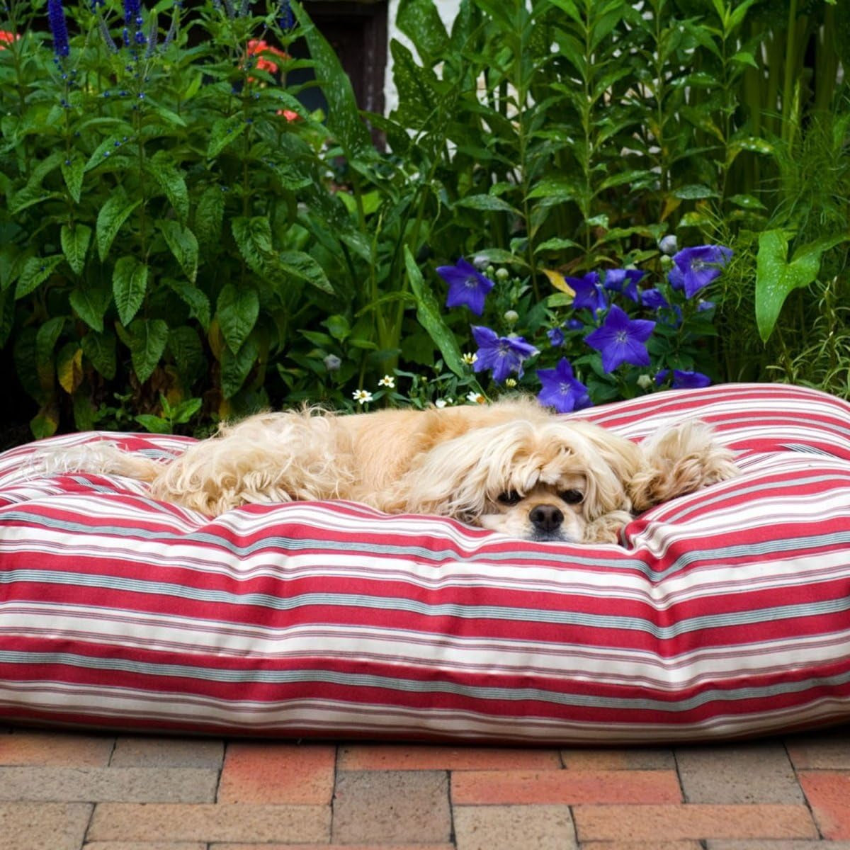 CAROLINA PET COMPANY Striped Faux Gusset Jamison Indoor/Outdoor Bed
