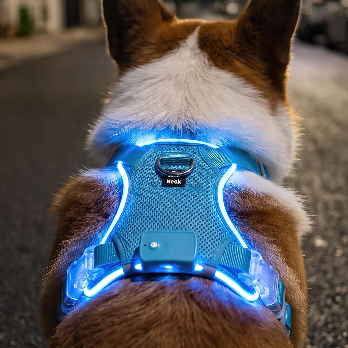 LED Dog Harness USB Rechargeable Reflective No Pull Adjustable Pet Vest, Medium