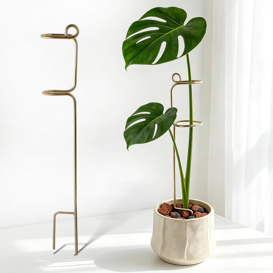 16.5" Flower Stakes and Supports - Elegant Plant Support Trellis