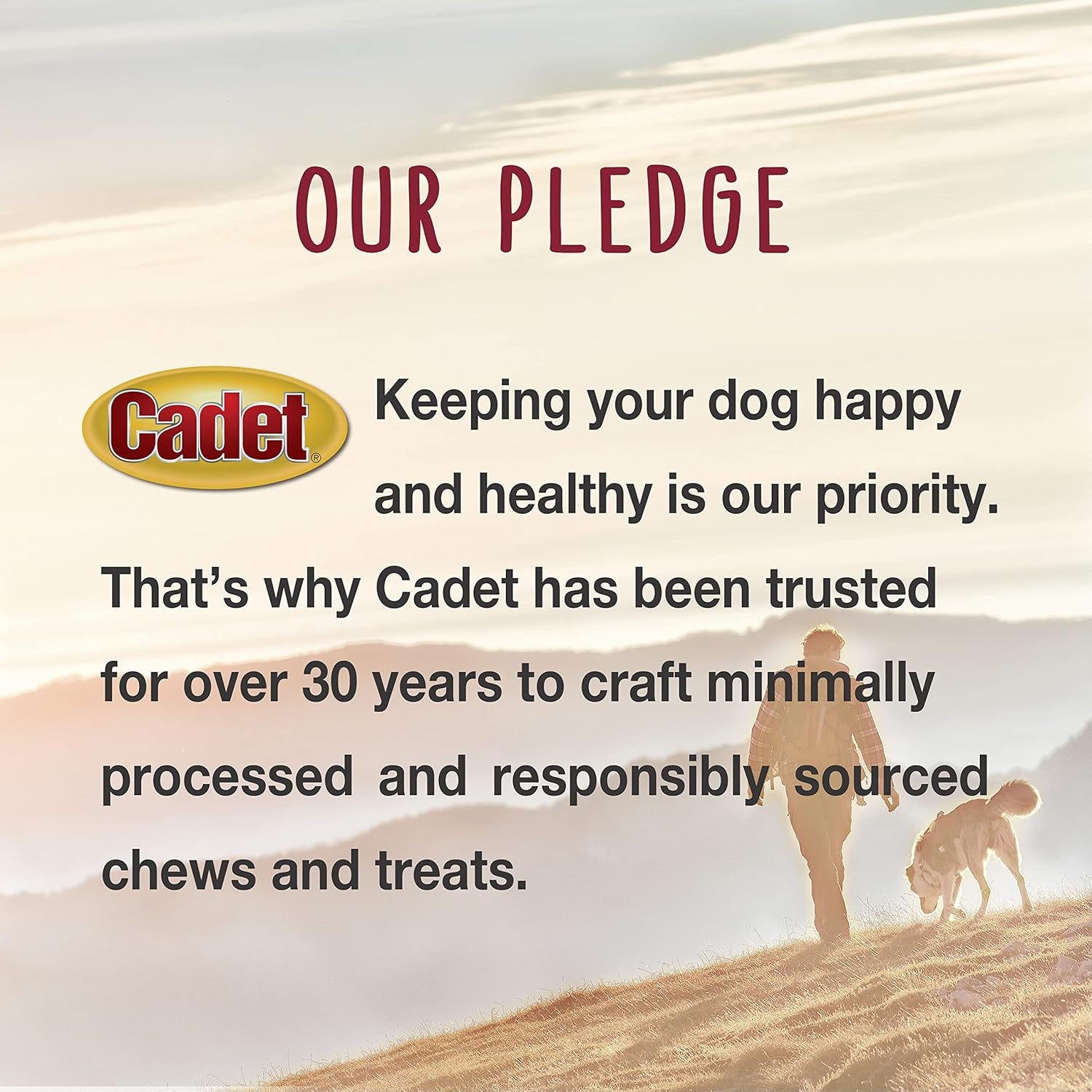 Cadet Stuffed Shin Bone, Long-Lasting Dog Chew Bones for Aggressive Chewers, High Protein Filled Bone Dental Chew for Dogs, Peanut Butter Flavor Filling, 5-6" for Large Dogs