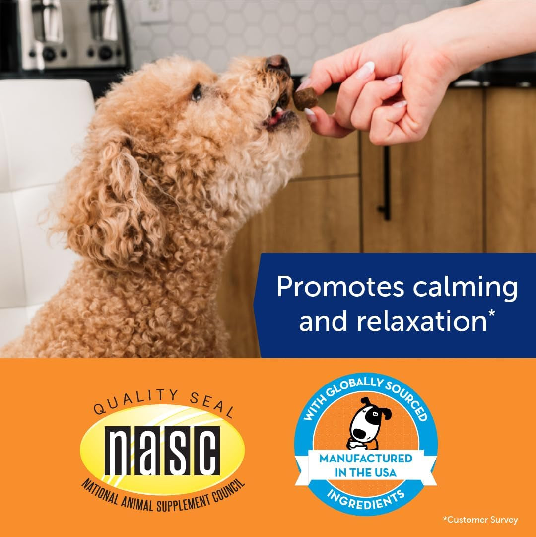Thunderbites Hemp Calming Chews for Dogs, Everyday Use Can Help Relieve Stress from Separation, Storms, Fireworks & Travel (60 Count), Formerly Thunderwunders
