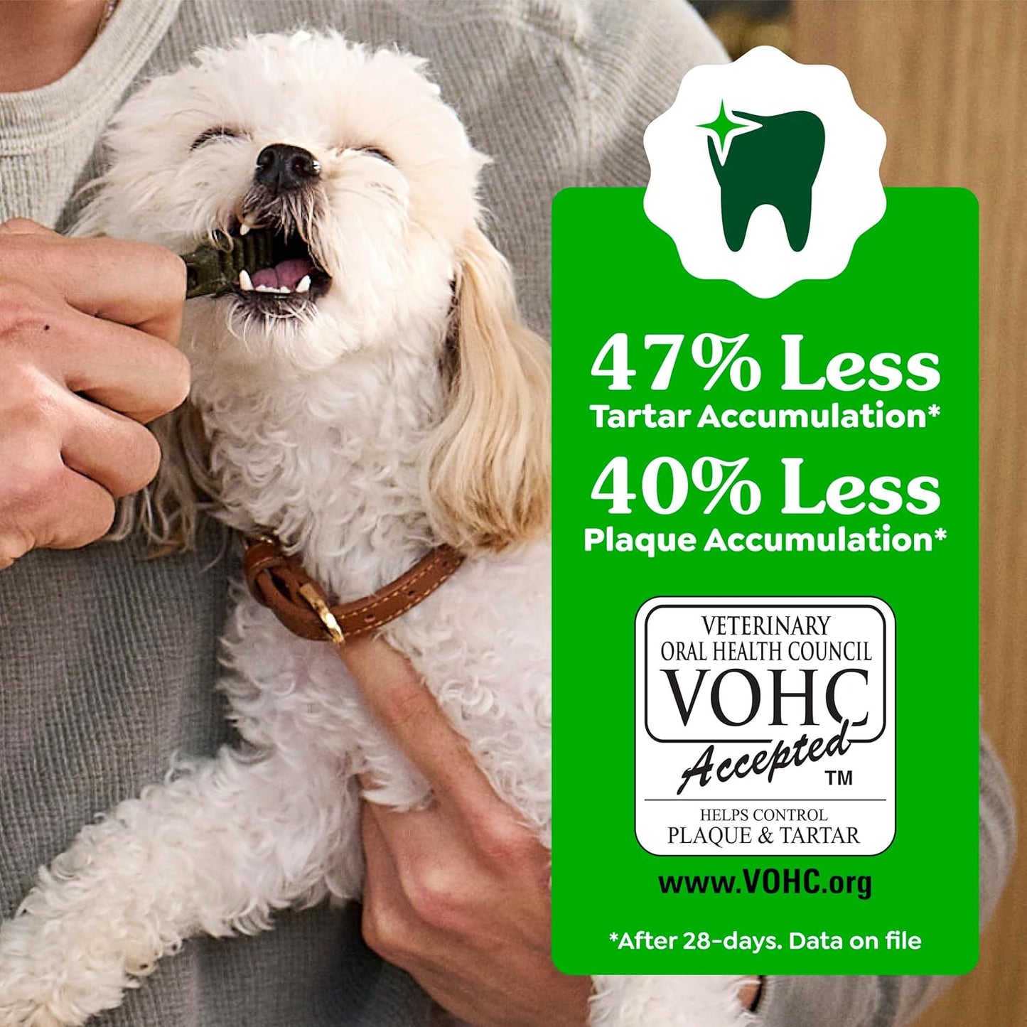 Greenies Dog Treats Veterinarian-Recommended Natural Dental Treats for Dogs, Teenie Size, Fresh Flavor, 12 Oz. Pack, 43 Count