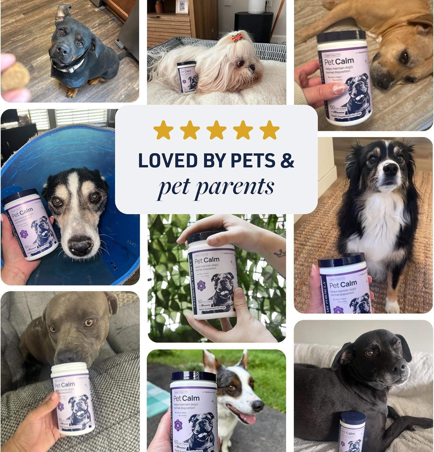 Veterinary Formula Pet Calm 60Ct – Vet-Formulated Calming Chews for Dogs with L-Theanine, L-Tryptophan for Behavior Support, Relaxation Treats, Puppy Chews for Stressful Situations, Dog Calming Aid