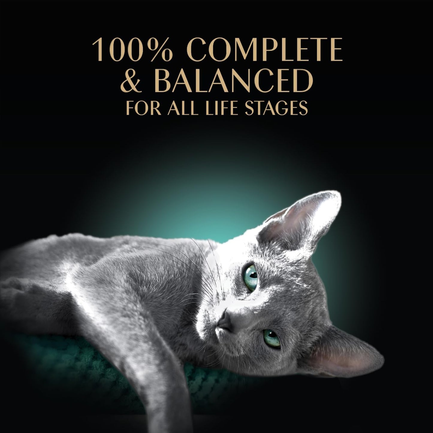 Sheba Perfect Portions Wet Cat Food Cuts in Gravy, Cat Food Wet Recipe, Roasted Chicken Entree, 2.6 Oz. Twin-Pack Trays (24 Count, 48 Servings)