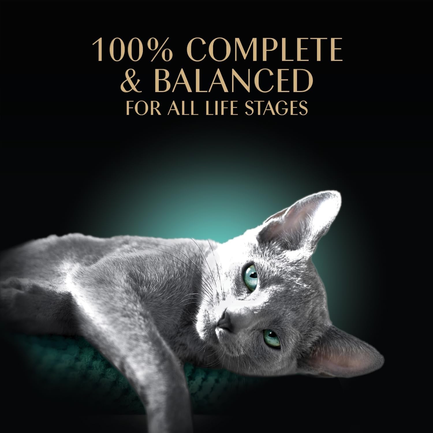 Sheba Perfect Portions Wet Cat Food Cuts in Gravy, Cat Food Wet Recipe, Roasted Chicken Entree, 2.6 Oz. Twin-Pack Trays (24 Count, 48 Servings)