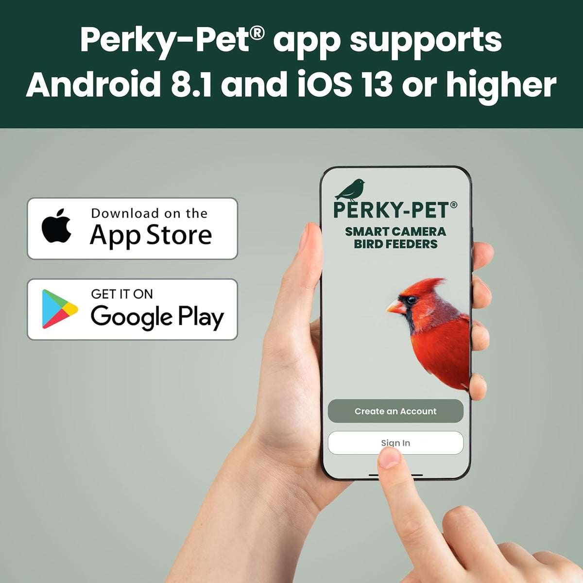 Perky-Pet Solar Powered Smart Bird Feeder with Camera, 3.2L Capacity