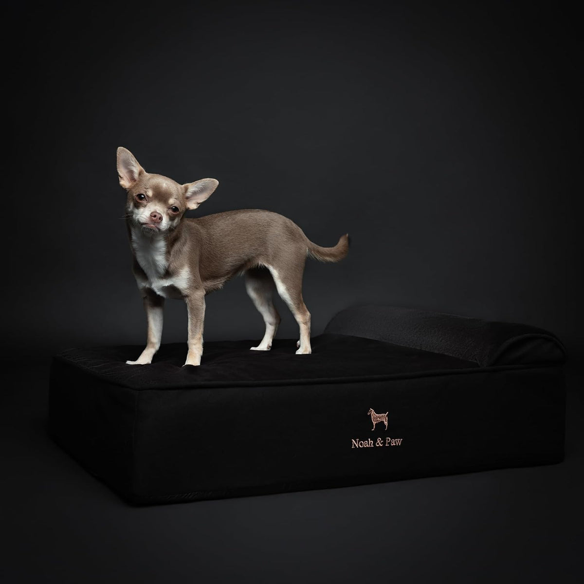 NOAH & PAW Dog Bed, 28X23X7.5 Inch, Orthopedic Dog Beds for Medium Size Pets, Eggshell Memory Foam Infused with Cooling Gel, Water Resistant, Machine Washable, Includes Inner Cover