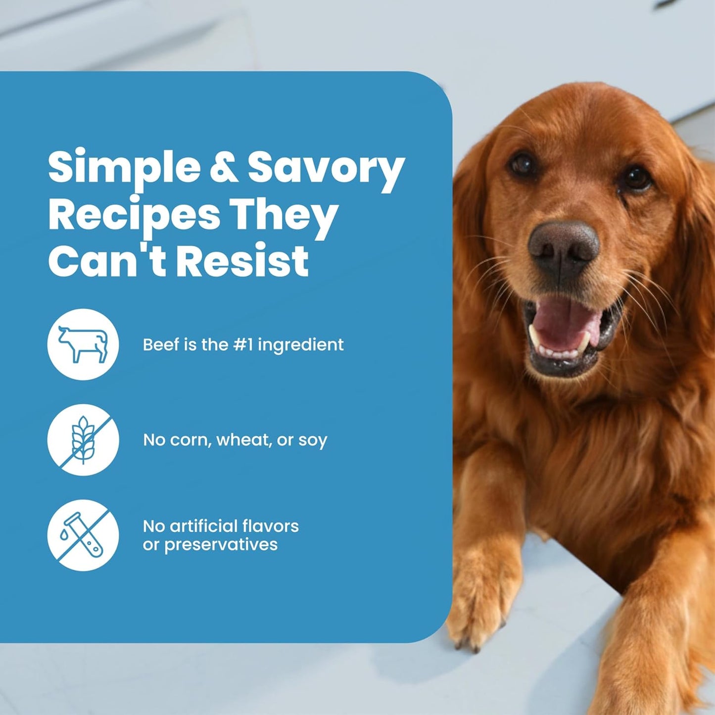 Blue Buffalo Nudges Steak Jerky Cuts Natural Dog Treats, Tender & Meaty Dog Snacks, Healthy Reward or Training Treat, Made in the USA with Beef, No Artificial Preservatives, 16 Oz.