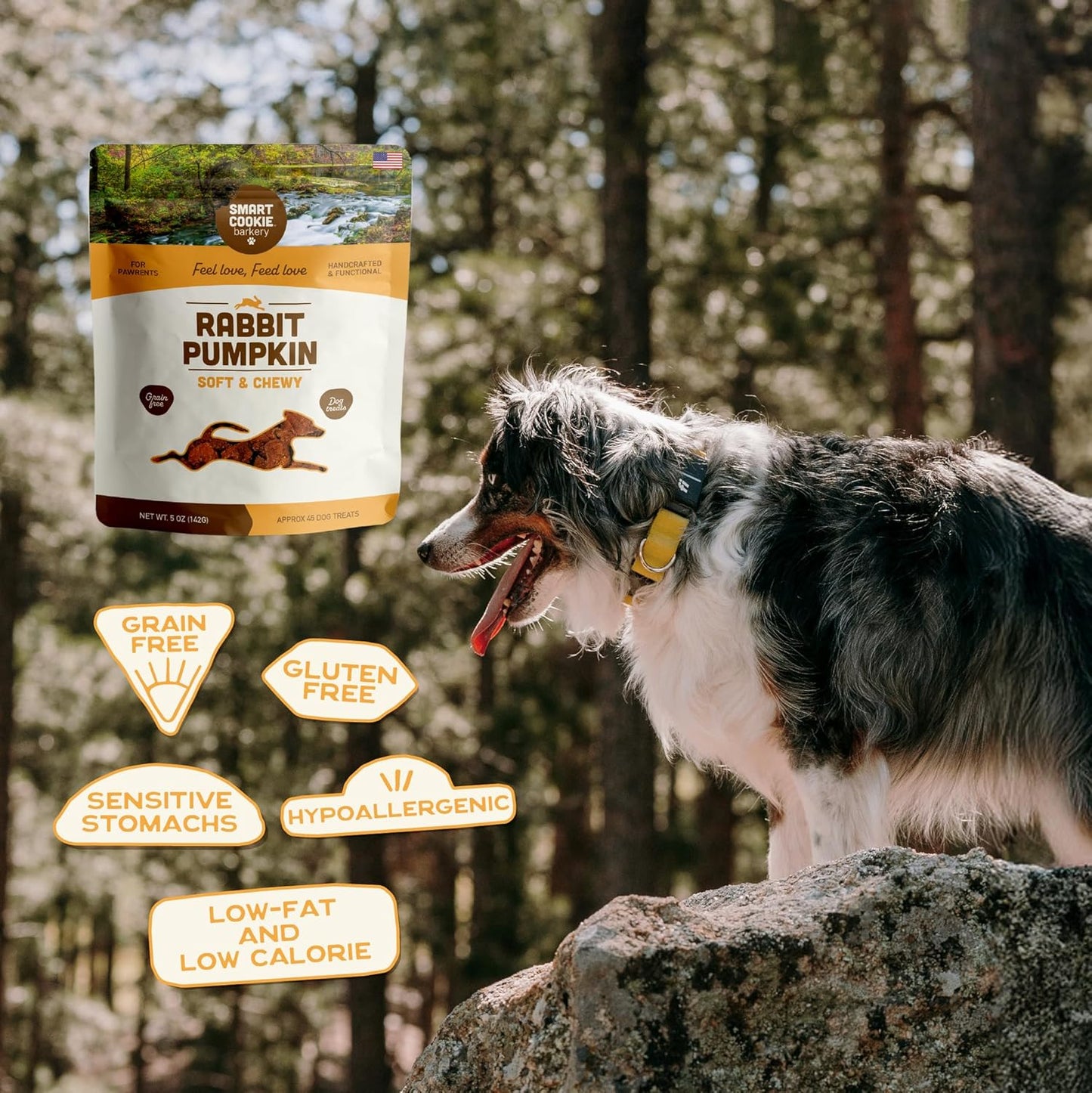Smart Cookie All Natural Dog Treats - Rabbit & Pumpkin - Training Treats for Dogs & Puppies with Allergies, Sensitive Stomachs - Soft Dog Treats, Grain Free, Chewy, Human-Grade, Made in USA - 5Oz Bag