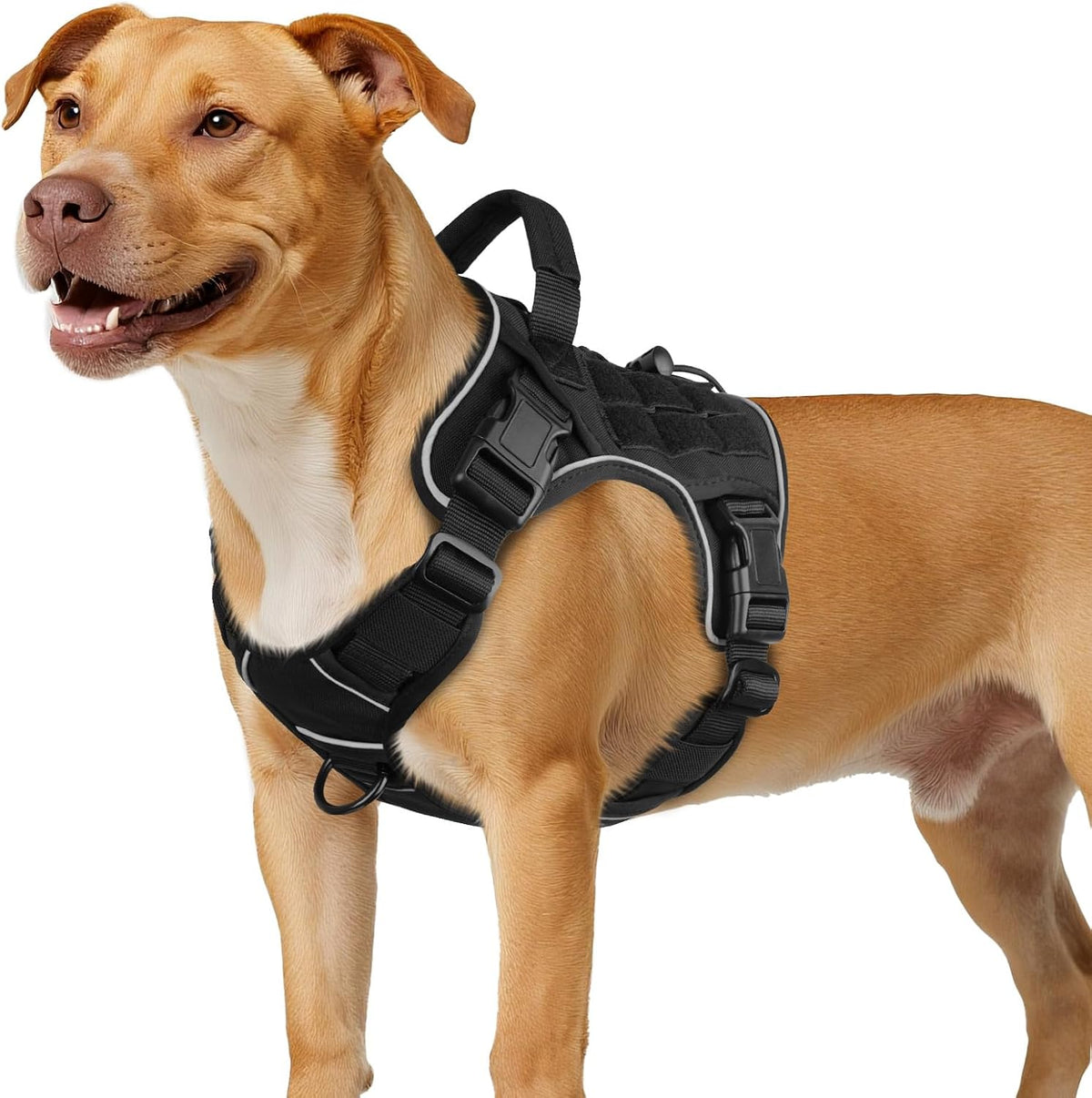 Black Tactical Dog Harness for Medium Size Dogs,No Pull Dog Harness
