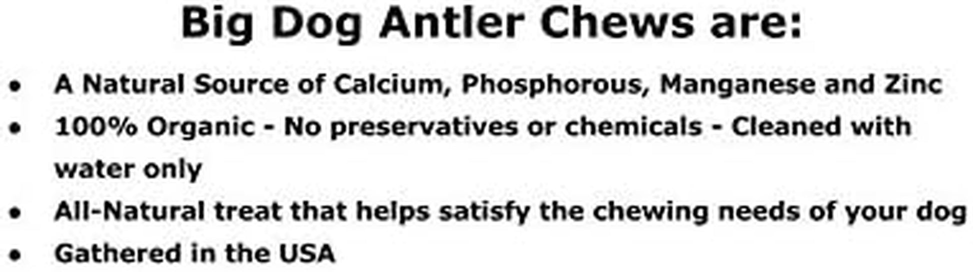 Premium Deer Antler Pieces - Dog Chews - Antlers by the Pound, One Pound - Six Inches or Longer - Medium, Large and XL - Happy Dog Guarantee!