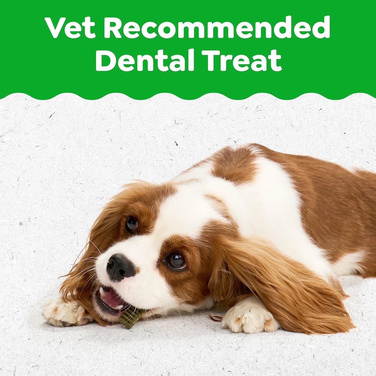 Greenies Veterinarian-Recommended Natural Dental Puppy Treats Petite Size, Dental Treats for Dogs, 12 Oz. Pack, 20 Count