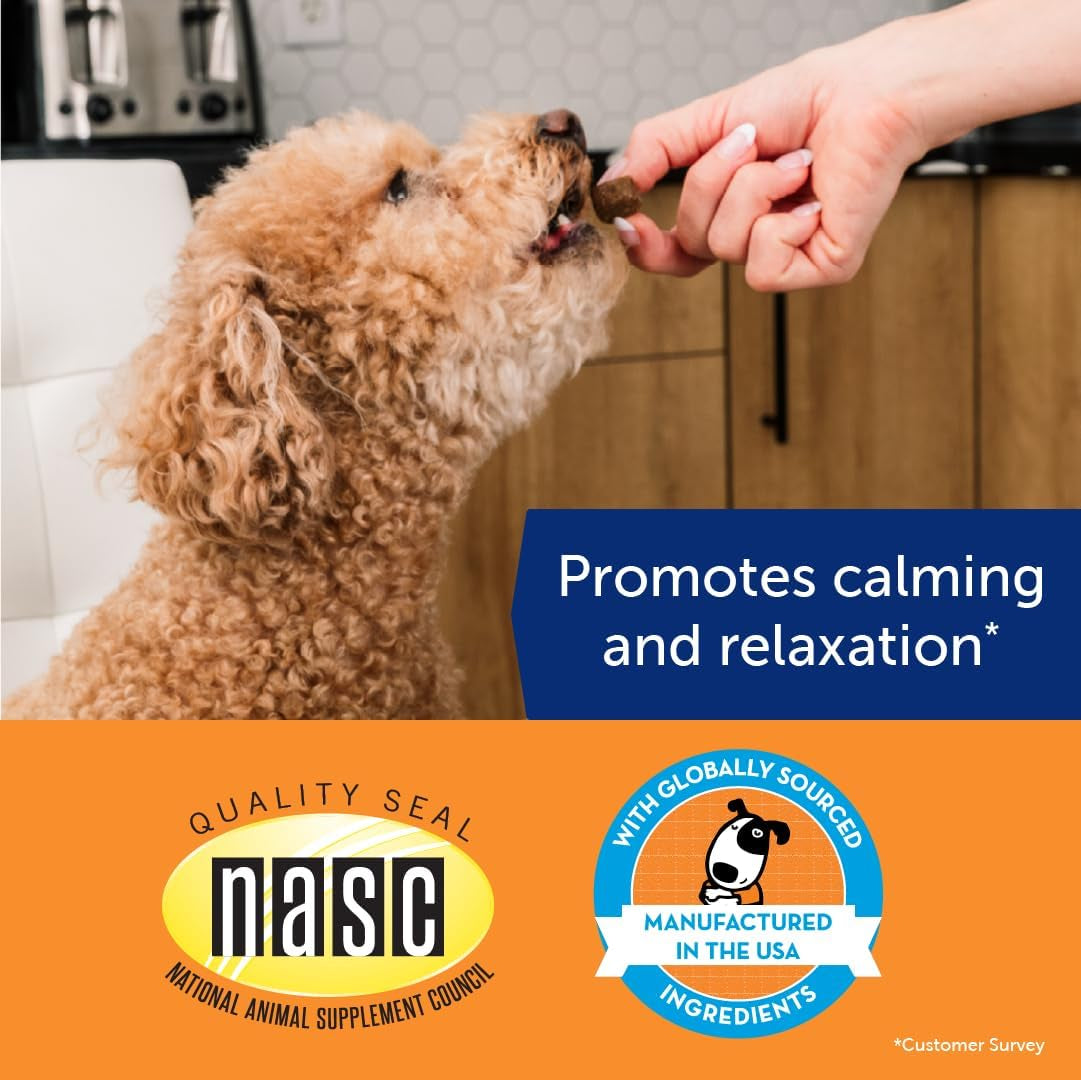 Thunderbites Dog Calming Chews, Thiamine, L-Tryptophan, Melatonin and Ginger, Can Help Relieve Stress from Separation, Storms, Fireworks & Travel (60 Count), Formerly Thunderwunders