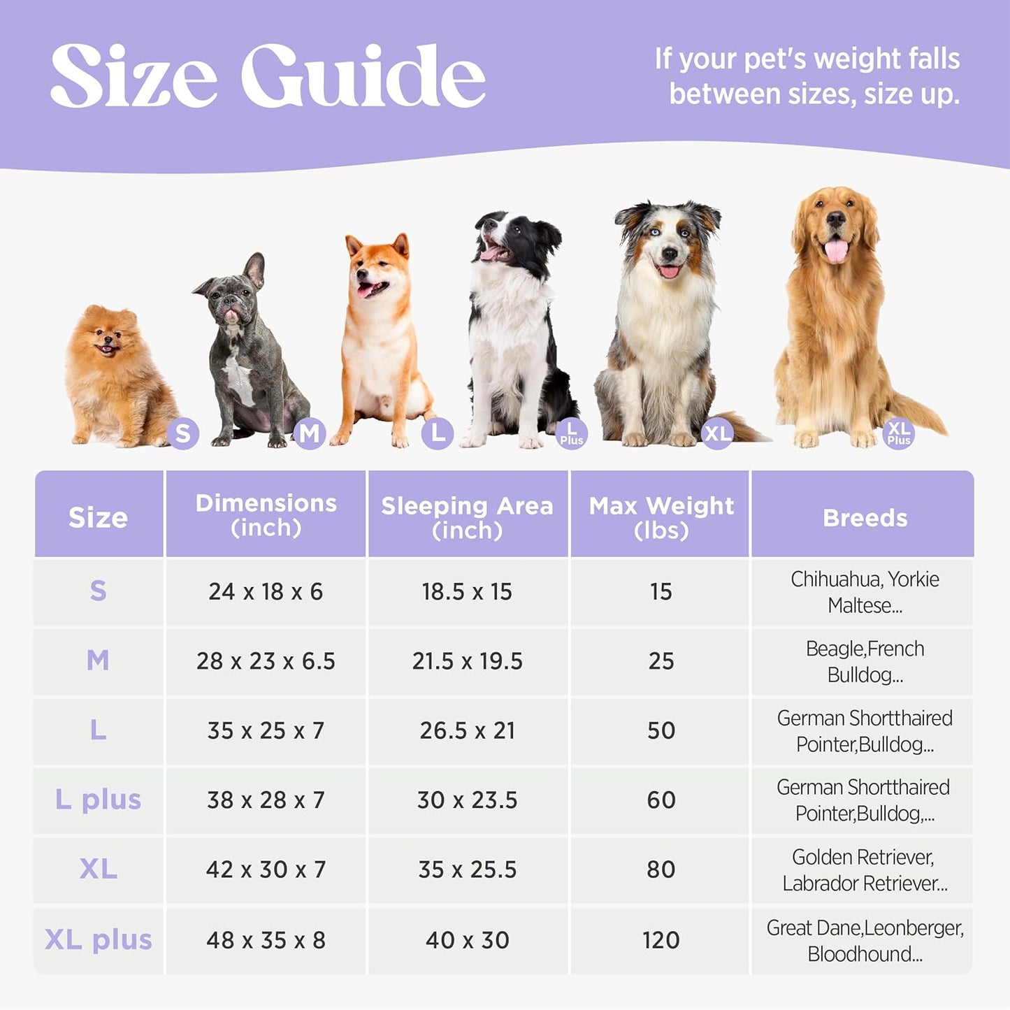 Cute Dog Bed Medium Size Dog, Orthopedic Waterproof Medium Pet Beds with Sides, High Back Non-Slip Bottom and Egg-Crate Foam Pet Couch Sofa with Washable Removable Cover, Hazel