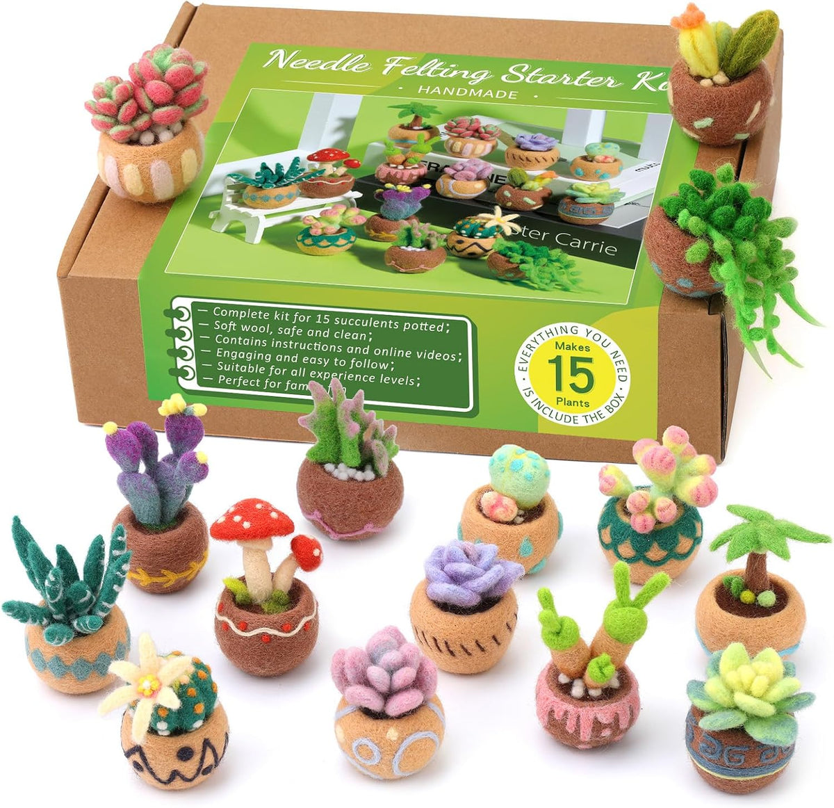 Yizzvb Needle Felting Kit, 15 Pcs Succulent Wool Needle Felt Beginner Kits