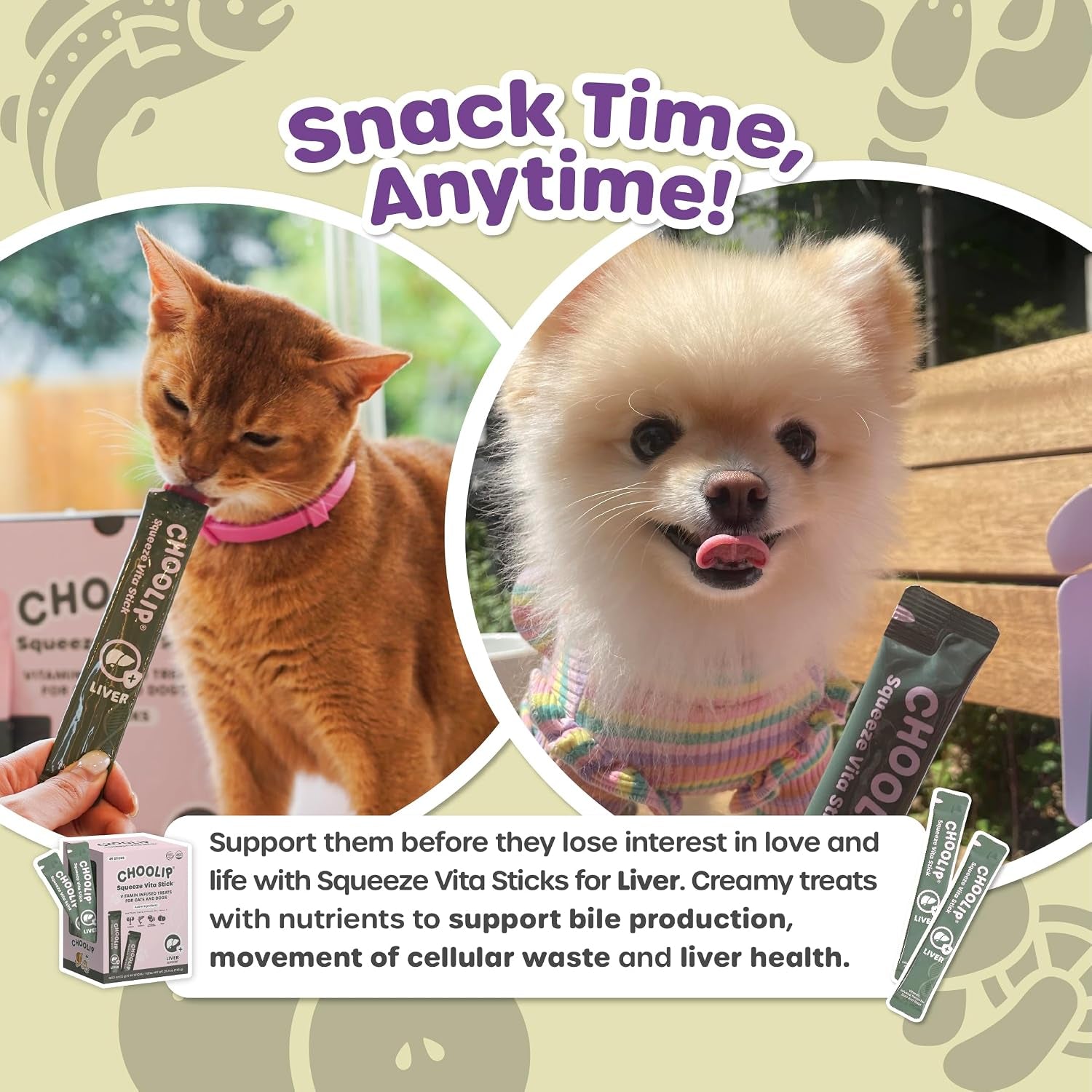 Choolip Squeeze Vita Stick Lickable Cat and Dog Treats, 49-Count Liver Support Variety Pack, Salmon and Lobster with Milk Thistle, Coq10 and Vitamin E
