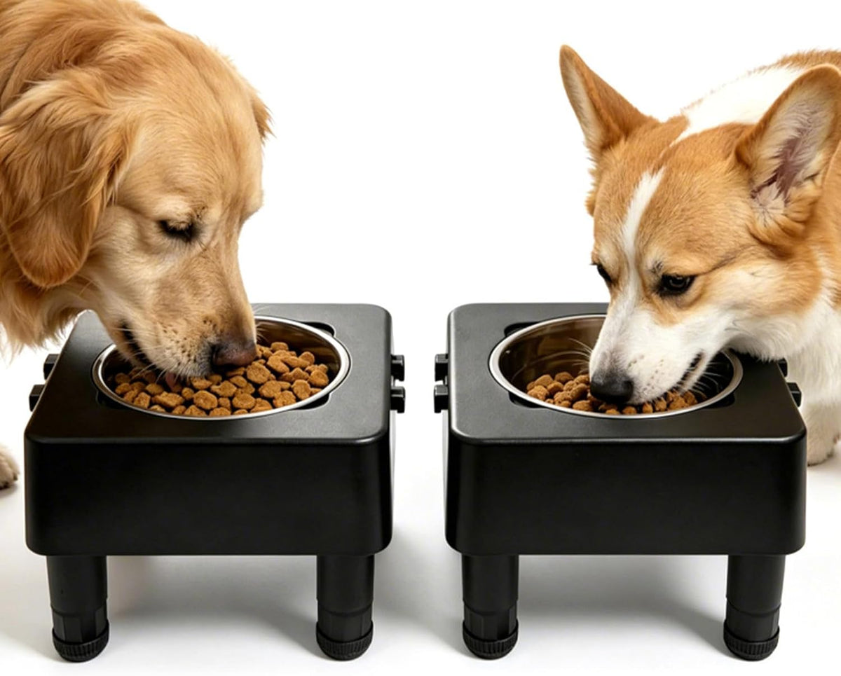 Raised Dog Bowl Stand, Adjustable Elevated Dog Feeder with Non-Slip Base
