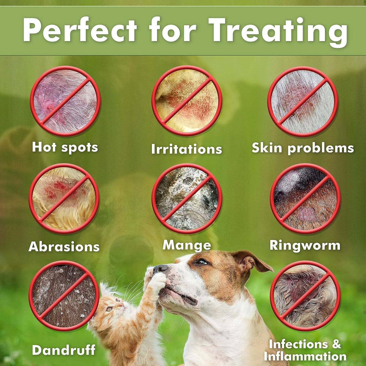 Arava Natural Medicated Dog Shampoo – anti Yeast anti Itch Dog Shampoo - Healthy Skin & Coat - First Aid in Hot Spots Ringworm Scrapes Abrasions & Dermatologic Infections - 400Ml / 13.5 Fl Oz