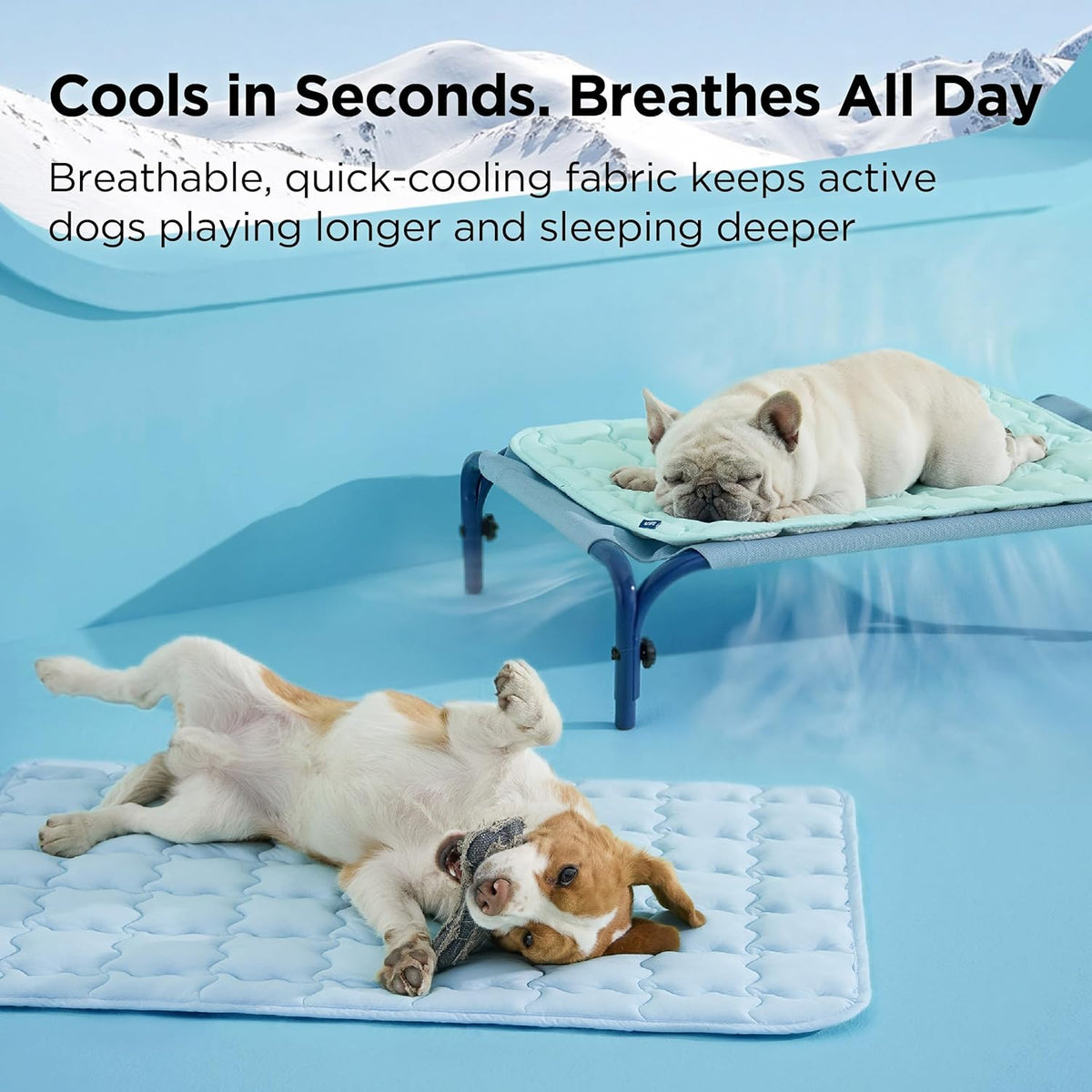 Bedsure Arcticmax™ Cooling Mat for Large Dogs,Q-Max>0.5 Chill Fiber,41In