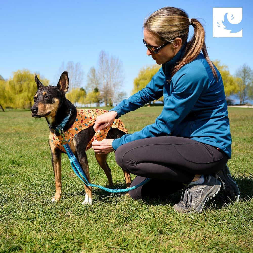 RC Pet Products Zephyr Cooling Vest, Extra Extra Small, Aqua (X-Large, Aqua)