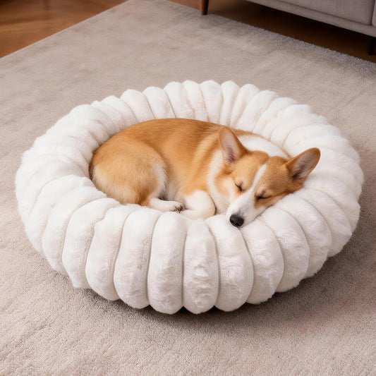 Donut Small Medium Dog Bed Washable Kitty & Puppy Bed,23In White