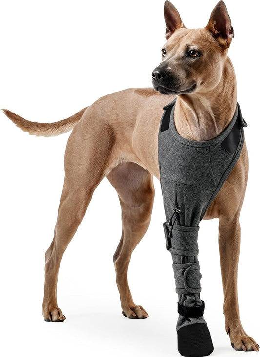 ROZKITCH Boots & Paw Protectors for Dogs, Foot Cover Dog Shoes to Stop Sore