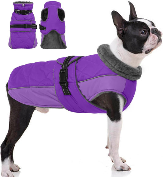 QBLEEV Warm Dog Jacket, Waterproof Dog Winter Coat with Harness