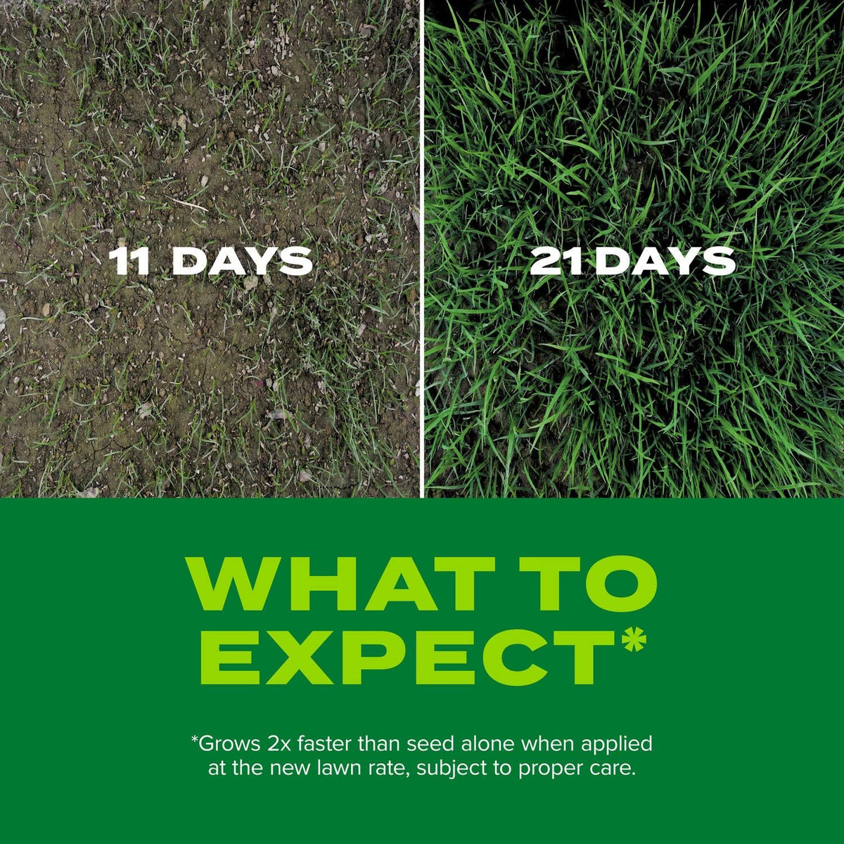 Scotts Turf Builder Rapid Grass Tall Fescue Mix, 5.6 Lbs.