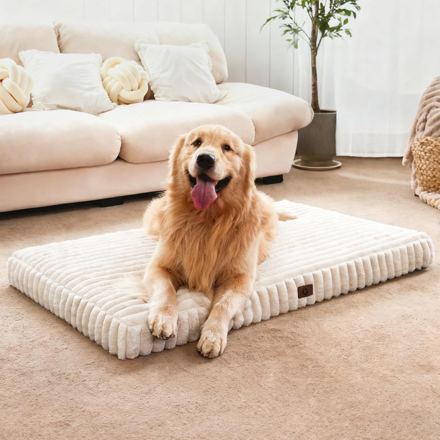 Dog Beds for Large Sized Dog, Orthopedic Pet Bed with Waterproof Lining, Soft Short Plush Surface & Egg Crate Foam, Machine Washable Pet Bed with Removable Cover & anti Slip Bottom