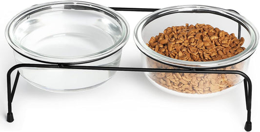 GDCZ Elevated Cat Bowl Stand, 11 in Metal Stand with 2 Removable 20 OZ Glass Bowls for Pet Food and Water, Stand Reduces Cat Neck Burden, Transparent