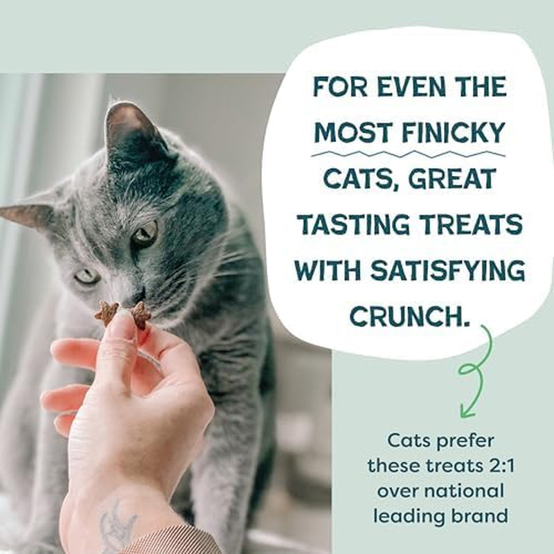 Shameless Pets Crunchy Cat Snacks & Treats – Healthy Cat Treats for Indoor Cats & Kittens with Catnip, Real Chicken & Digestive Support, Catnip N Chill (2.5 Oz)