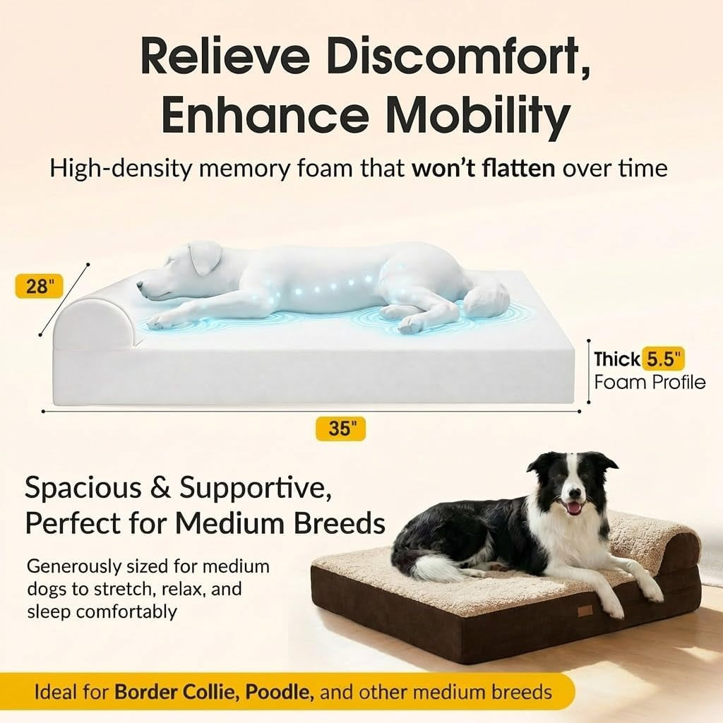 5.5 Inch Thick High Grade Orthopedic Memory Foam Dog Bed with Pillow and Easy to Wash Removable Cover with Anti-Slip Bottom. Free Waterproof Liner Included - for Medium and Large Dogs - Plush Brown