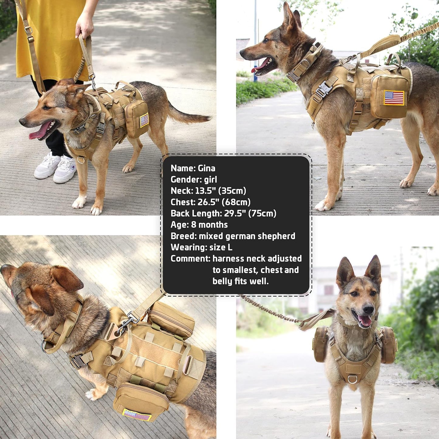 Forestpaw Tactical Dog Harness for Large Dogs,Tactical Dog Collar with Bungee Leash Set,No Pull Military Dog Harness for Walking Training,Adjustable for Medium Large Dogs,Khaki,Chest 21.5-45"