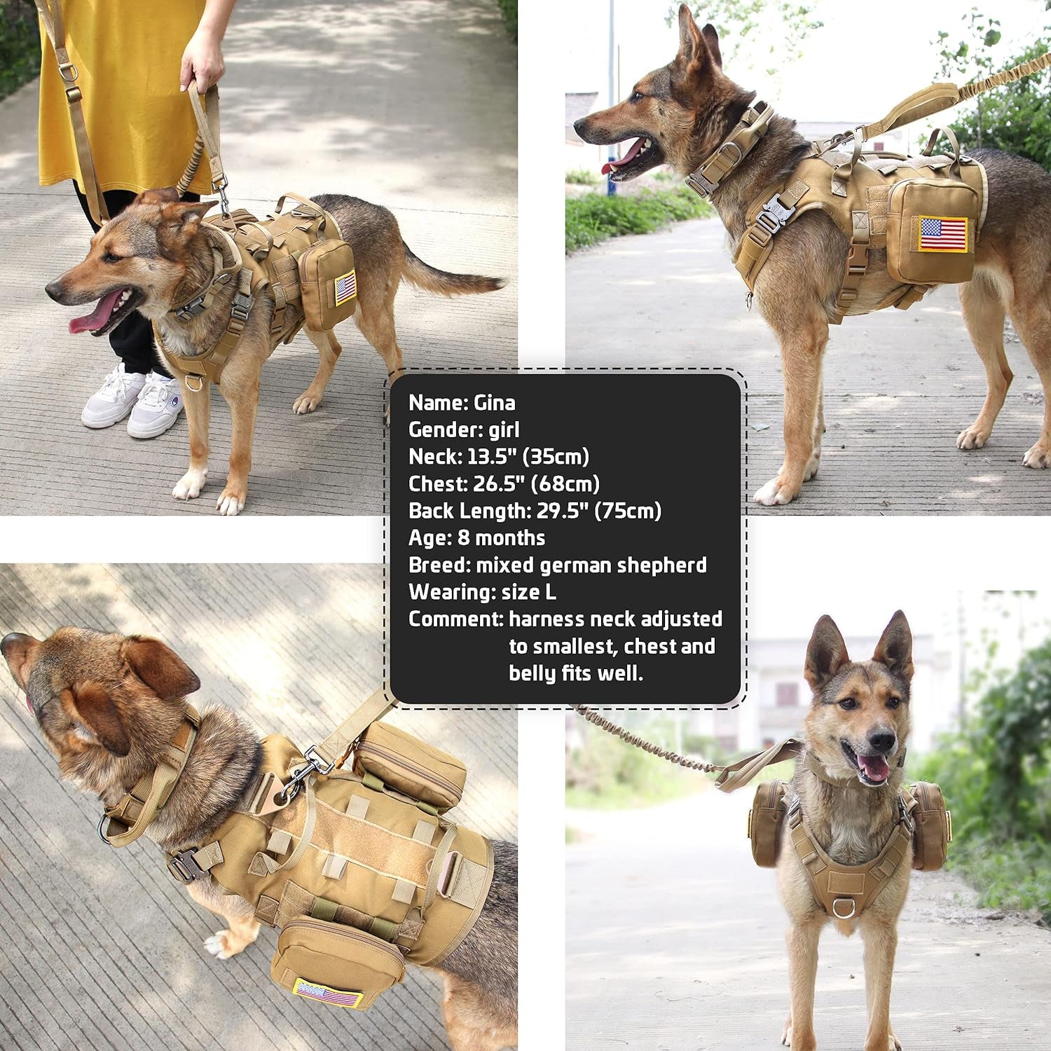 Forestpaw Tactical Dog Harness for Large Dogs,Tactical Dog Collar with Bungee Leash Set,No Pull Military Dog Harness for Walking Training,Adjustable for Medium Large Dogs,Khaki,Chest 21.5-45"